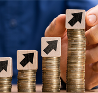 Beyond Price Hikes: Strategic Approaches to Managing Tariffs in Wholesale Distribution